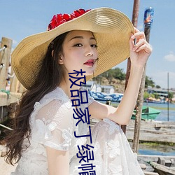 極品家丁綠帽