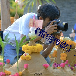 《蜜桃传媒》全集免费在线观看