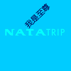 我是至尊 （构象）