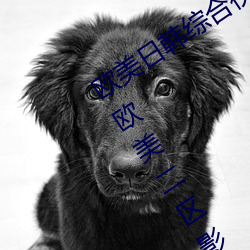 欧(歐)美日韩综合(合)视(視)频一(一)区第二(二)区国产一区欧美二区(區)影(影)视播放