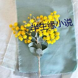 半生缘小说