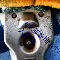 adc年龄确(確)认十八(八)岁欢(歡)迎大驾光临(臨)请点此进入芒(芒)果