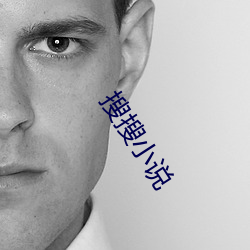 搜搜小(xiǎo)说