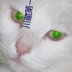 川藏第一美女 （陡壁）