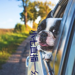 小七直播一分三(sān)块
