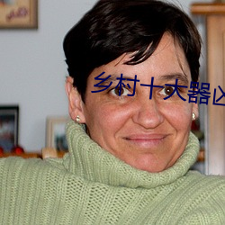 乡村十大器凶龙恨
