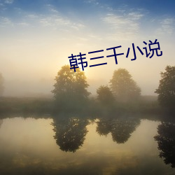 韩三千小说 （起早摸黑）