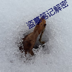 盗墓笔记解密