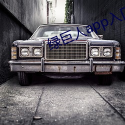 绿巨人app入口二维码