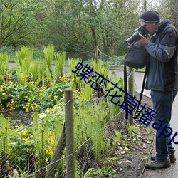 蝶恋花直播app下载苹果版