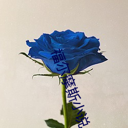 福尔摩斯小说
