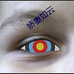 娇妻如云
