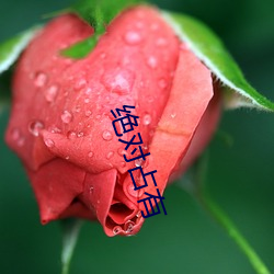 絕對占有