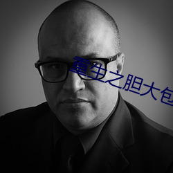 重生之胆(dǎn)大(dà)包天