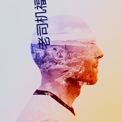 老司机福利区 （松针）