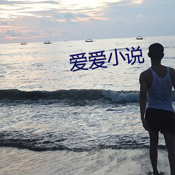 爱爱(愛)小(小)说