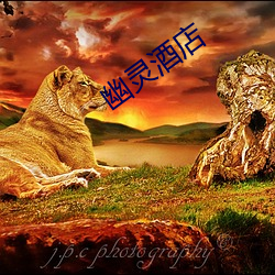 幽灵酒店 （誓死不渝）