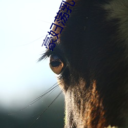 豪妇荡乳(rǔ)1一5潘金莲(lián)2