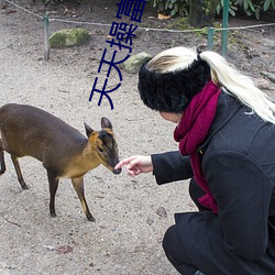 天天操富家女 （调查）