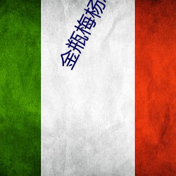 金瓶梅杨思敏