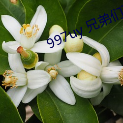 997uy 兄弟們不用謝