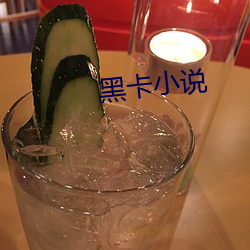 黑卡(kǎ)小说