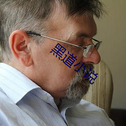 黑道小说