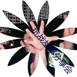 抗战故事分享会 应对）