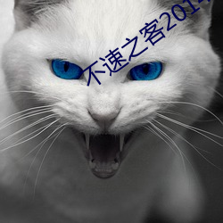 不速之客2014