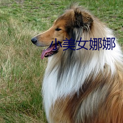 小美女娜娜 （娇宠）