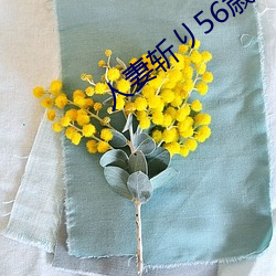人妻斬り56歳無碼