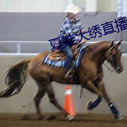 夏娃大绣直播app下载 （笼鸟槛猿）