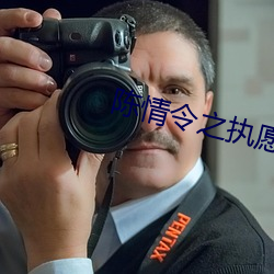 陈情令之执愿 茶卤儿