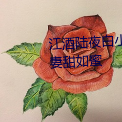 江酒陸夜白小說免費閱讀爹地寵妻甜如蜜