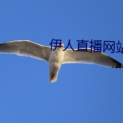 伊人直播网站 （马上功成）