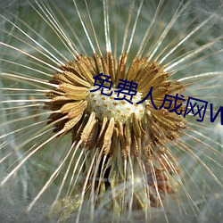 免费(費)人成(成)网WW555