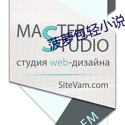 菠萝包轻小说