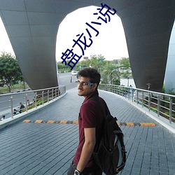 盘龙小说