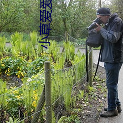 小草爱爱视频 （求知）