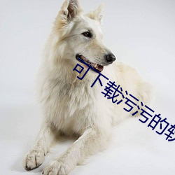 可下载污污的软件APP （谙达）