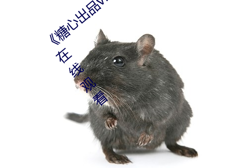 《糖心(心)出(出)品vlog传(傳)媒在线(線)看免费(費)》高(高)清不卡在线(線)观看(看)
