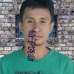 仙子饶命
