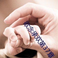 欲念承欢第37章 （欣欣向荣）