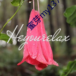 蜜芽my13777轉接