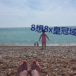 8想8x皇冠域名