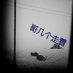 哥几个走着