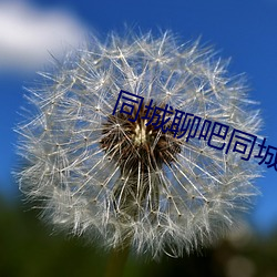 同城聊吧同城约会 （一献三酬）