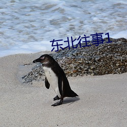 东北(běi)往事1