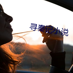 寻秦记小说