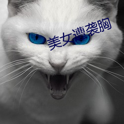 美女遭袭(x¨ª)胸